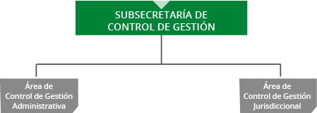 La Subsecretaría de Control de Gestión está compuesta por dos áreas, una de Gestión Administrativa y otra de Gestión Jurisdiccional