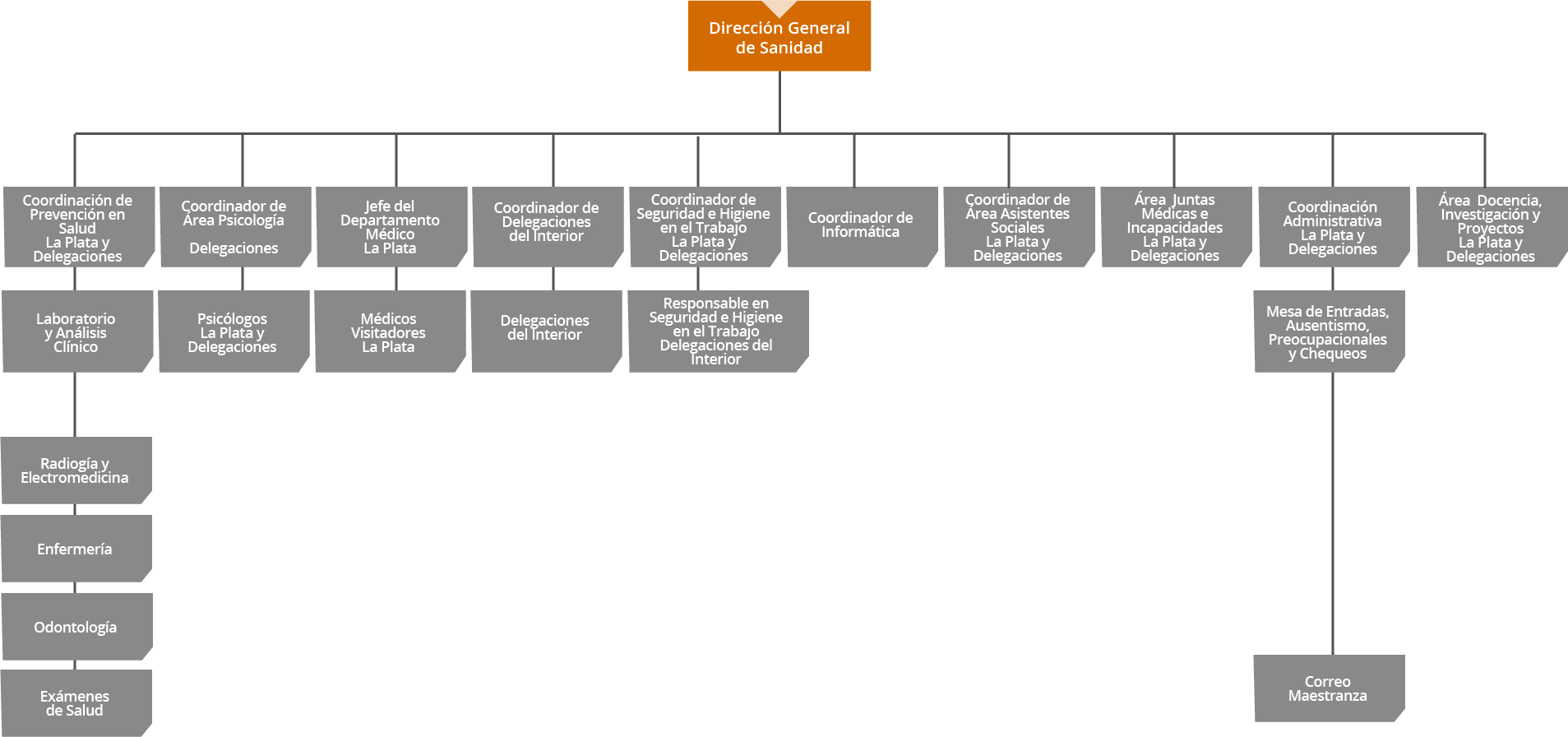La Dirección General de Sanidad está compuesta por Coordinaciones, áreas y el Departamento Médico de La Plata. Las Coordinaciones son: de Prevención en Salud dependiendo de ella Laboratorio y Análisis Clínico, como también Radiología y electromedicina, Enfermería, Odontología y Exámenes de Salud; tanto en La Plata como en las delegaciones. Coordinador de Área Psicología dependiendo los Psicólogos de La Plata y las Delegaciones. Coordinador de Delegaciones del Interior. Coordinador de Seguridad e Higiene en el Trabaja, tanto en La Plata como en las Delegaciones. Coordinador de Informática. Coordinador de Área Asistentes Sociales, tanto en La Plata y en las Delegaciones. Y Coordinación Administrativa tanto en La Plata como en las Delegaciones, se encarga de la Mesa de Entradas, ausentismo, preocupacionales, chequeos y correo.Las Áreas son de juntas Médicas e Incapacidades y Docencia, Investigación y Proyectos, tanto en La Plata como en las Delegaciones.Del departamento Médico dependen los Médicos Visitadores de La Plata